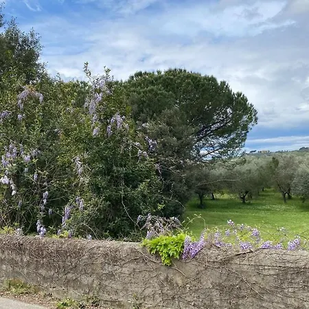 Apartment La Residenza Dei Piaceri Perduti- Le Volte