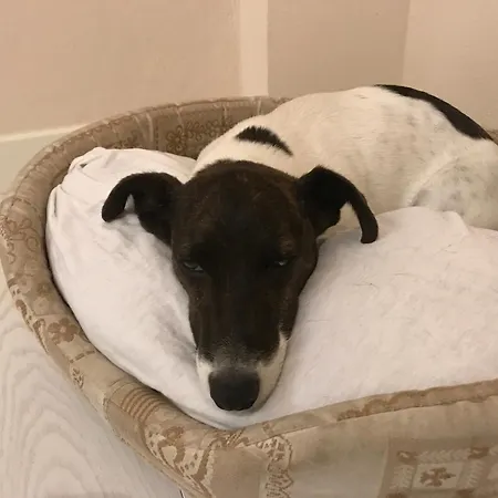 La Residenza Dei Piaceri Perduti- Le Volte * Lastra a Signa