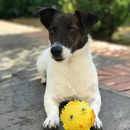 La Residenza Dei Piaceri Perduti- Le Volte Apartman *