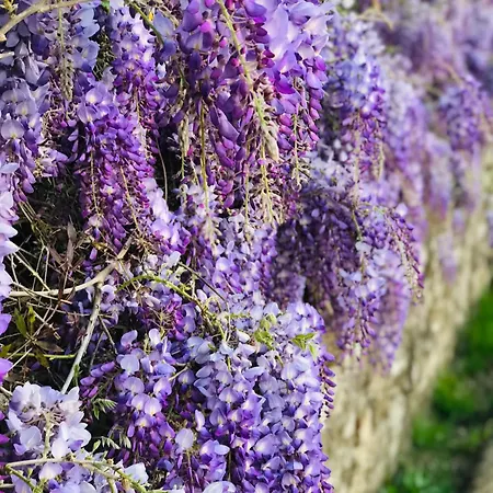 Apartman La Residenza Dei Piaceri Perduti- Le Volte Lastra a Signa